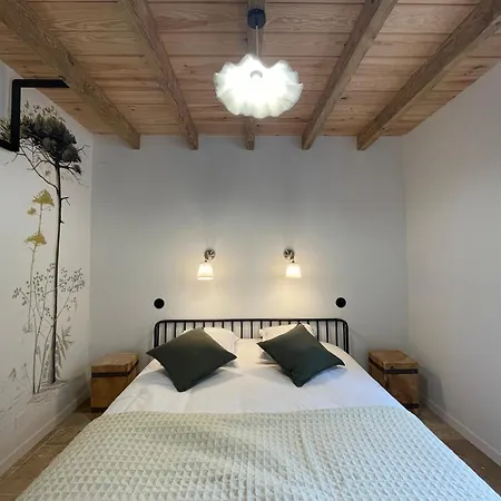 La Maison De Marie Saint-Julien-en-Born