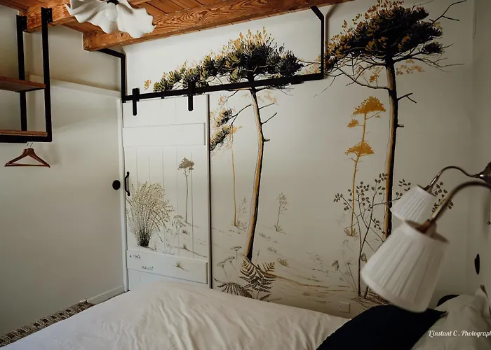 Feriehus La Maison De Marie Saint-Julien-en-Born